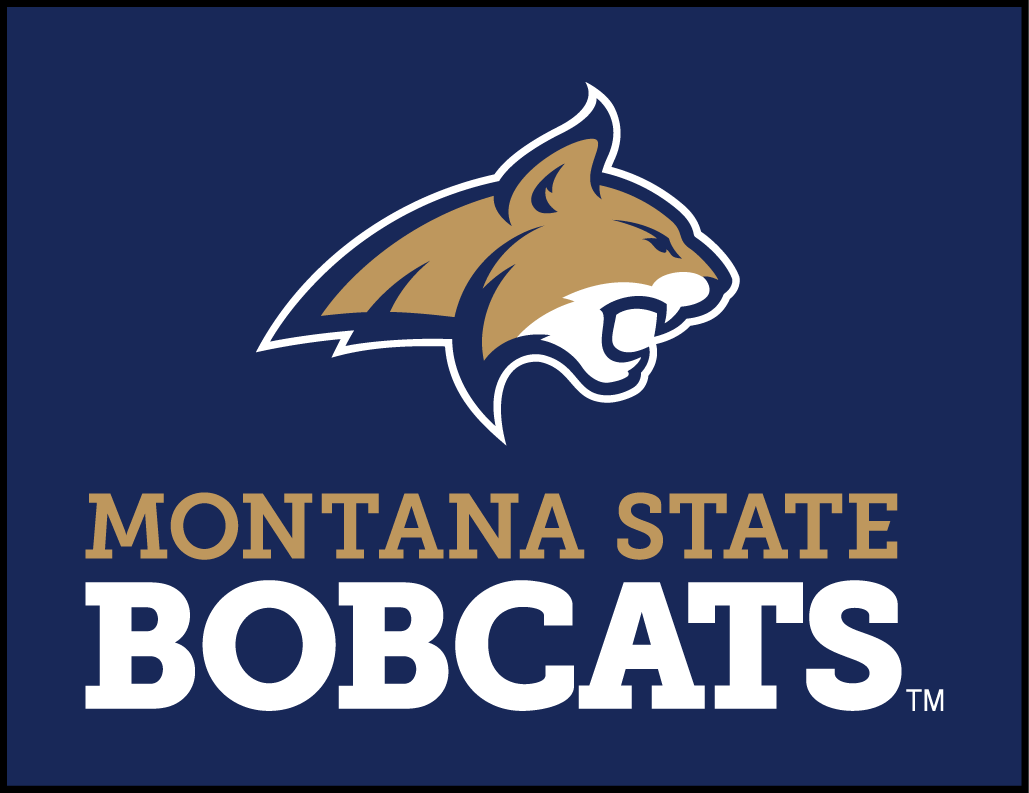 Montana State Bobcats 2013-Pres Alternate Logo 05 iron on paper